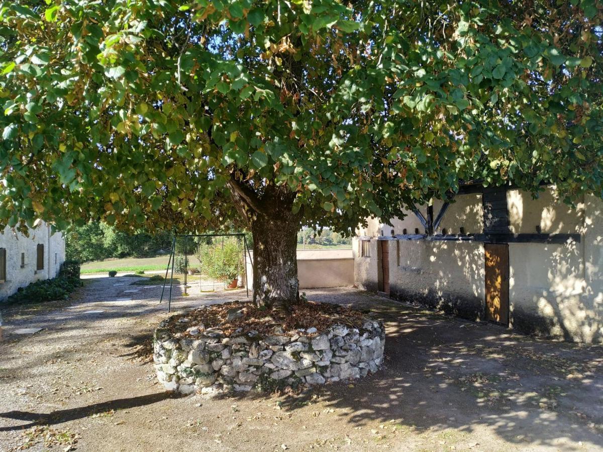 gites de la Vaysse Vergt-de-Biron Exterior foto