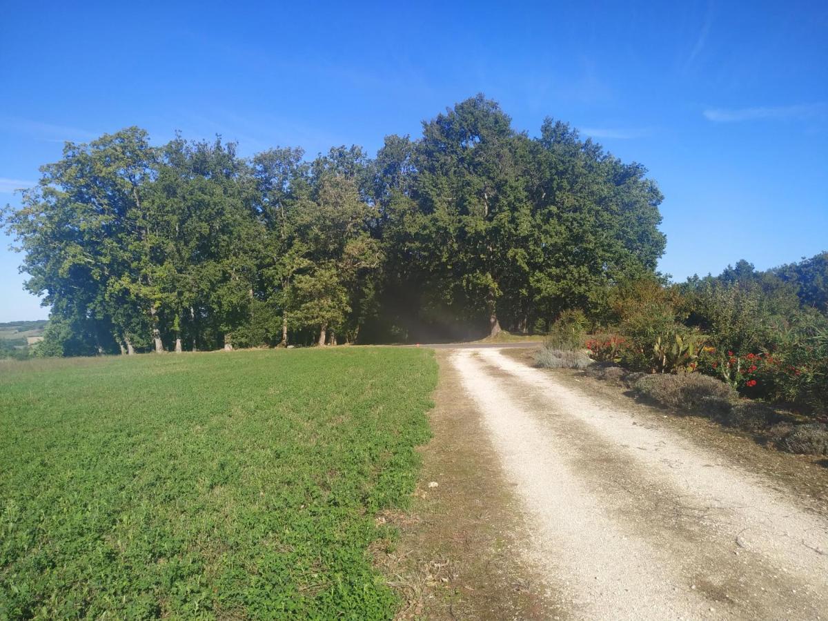 gites de la Vaysse Vergt-de-Biron Exterior foto